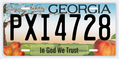 GA license plate PXI4728