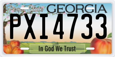 GA license plate PXI4733