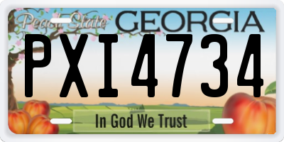 GA license plate PXI4734