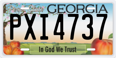 GA license plate PXI4737