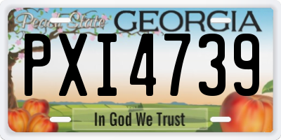 GA license plate PXI4739