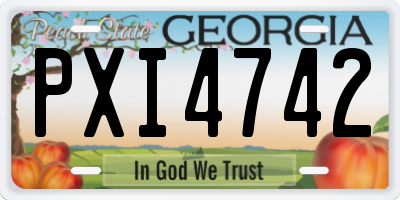 GA license plate PXI4742
