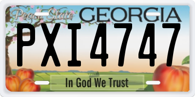 GA license plate PXI4747