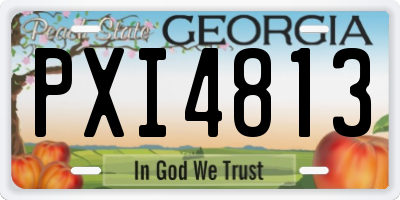 GA license plate PXI4813