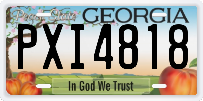 GA license plate PXI4818