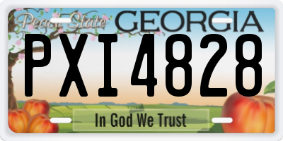 GA license plate PXI4828