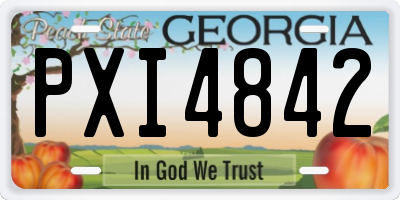 GA license plate PXI4842