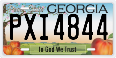 GA license plate PXI4844