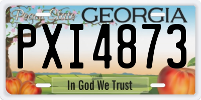 GA license plate PXI4873