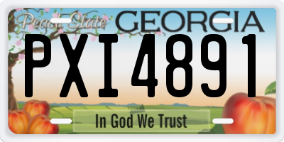 GA license plate PXI4891