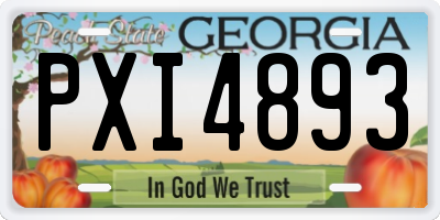GA license plate PXI4893