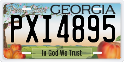 GA license plate PXI4895