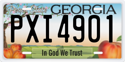GA license plate PXI4901