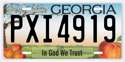 GA license plate PXI4919