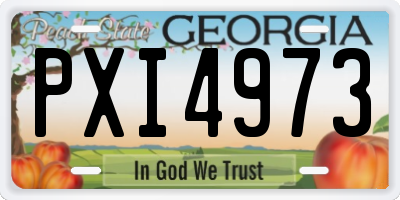 GA license plate PXI4973