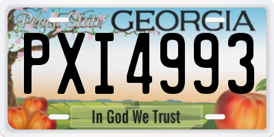 GA license plate PXI4993
