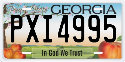 GA license plate PXI4995