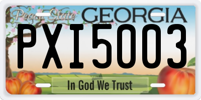 GA license plate PXI5003