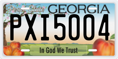 GA license plate PXI5004