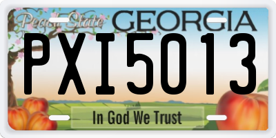 GA license plate PXI5013