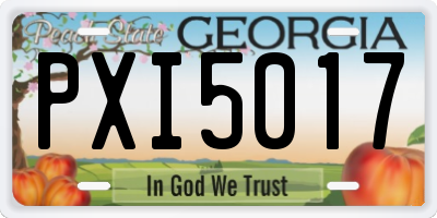 GA license plate PXI5017