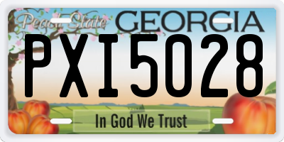 GA license plate PXI5028