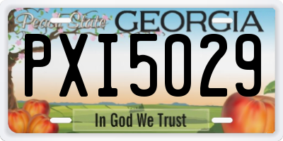 GA license plate PXI5029