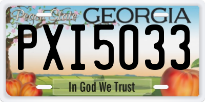 GA license plate PXI5033