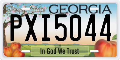 GA license plate PXI5044