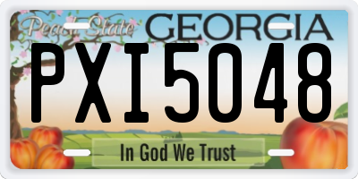 GA license plate PXI5048