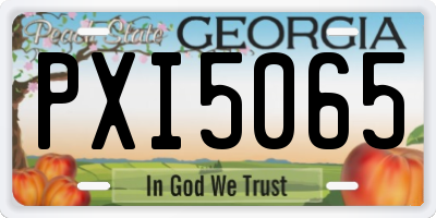 GA license plate PXI5065