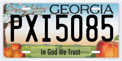 GA license plate PXI5085