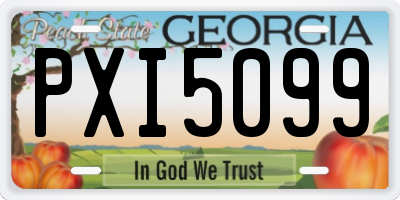 GA license plate PXI5099
