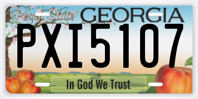 GA license plate PXI5107