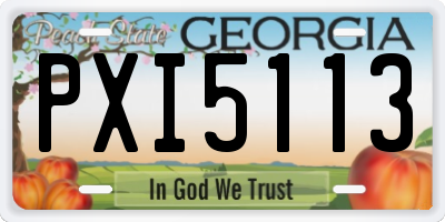 GA license plate PXI5113