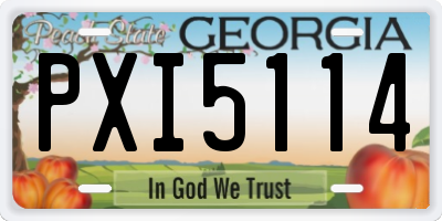 GA license plate PXI5114