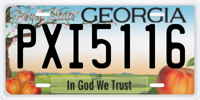 GA license plate PXI5116