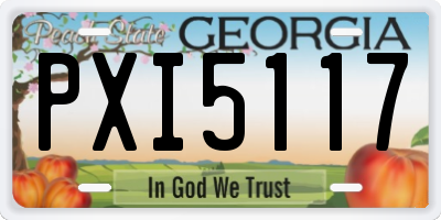 GA license plate PXI5117