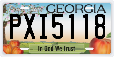 GA license plate PXI5118