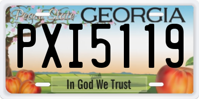 GA license plate PXI5119