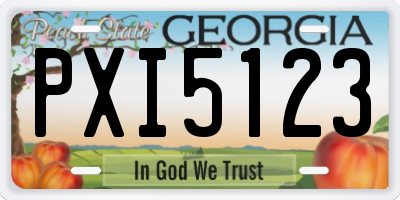GA license plate PXI5123