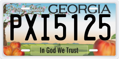GA license plate PXI5125