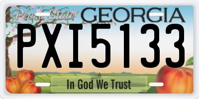 GA license plate PXI5133