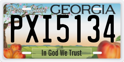 GA license plate PXI5134