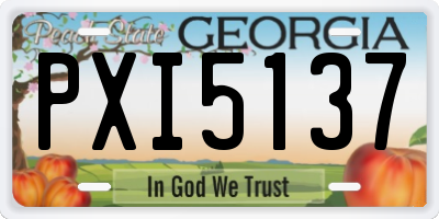 GA license plate PXI5137
