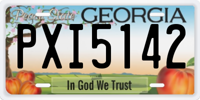 GA license plate PXI5142
