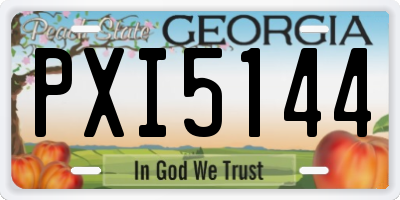 GA license plate PXI5144