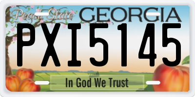 GA license plate PXI5145