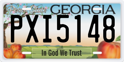 GA license plate PXI5148