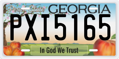 GA license plate PXI5165